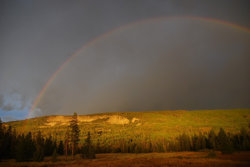 b0021211_1246548.jpg