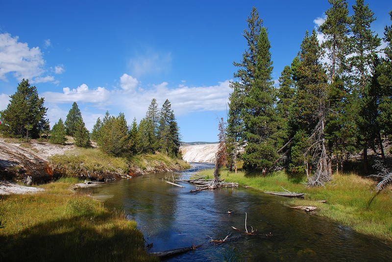 b0021211_965638.jpg