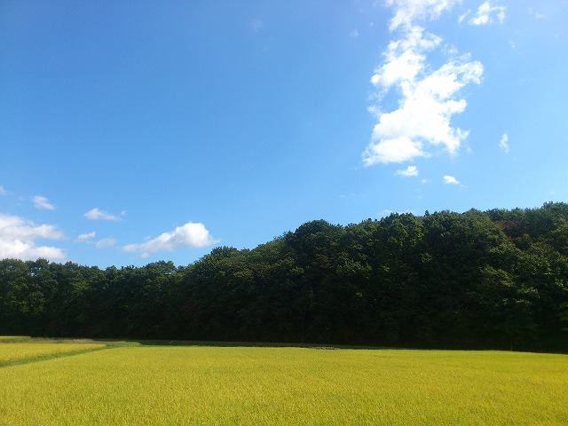 f0100911_2145597.jpg