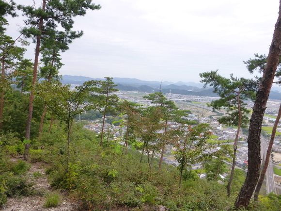 d0170615_1744990.jpg