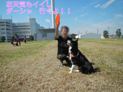 a0232619_16555982.png