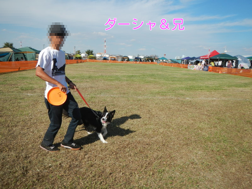 a0232619_1712028.png