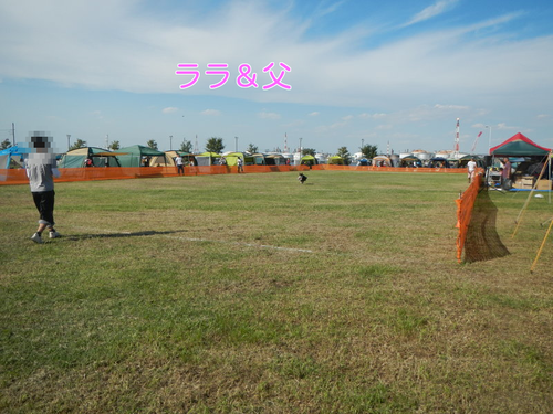 a0232619_1722424.png