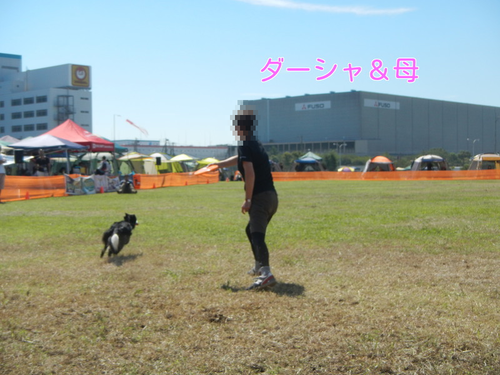 a0232619_1733788.png