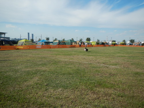 a0232619_173442.jpg