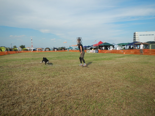 a0232619_174143.png