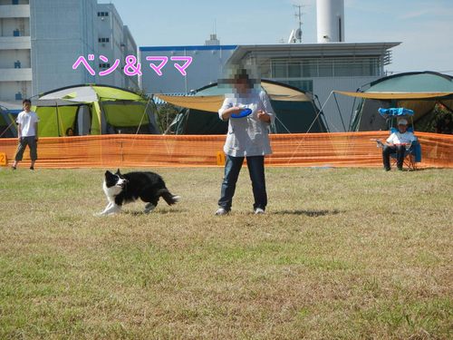 a0232619_1751369.png