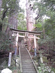 e0125722_14551787.jpg