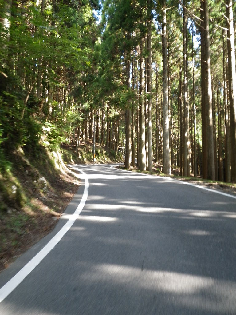 c0189724_1725958.jpg