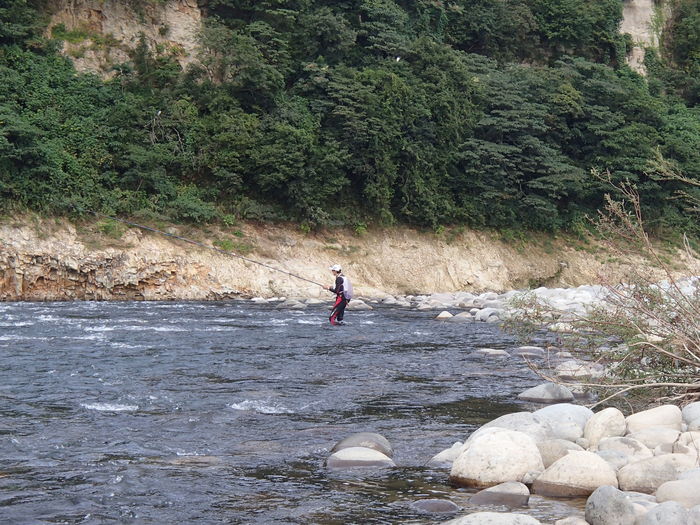 d0172227_1982138.jpg