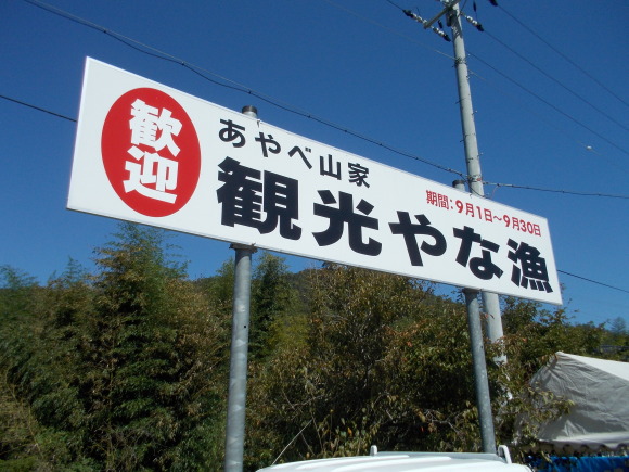 f0111128_23285347.jpg