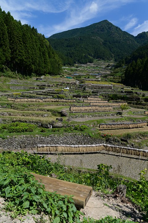 b0134829_13473940.jpg