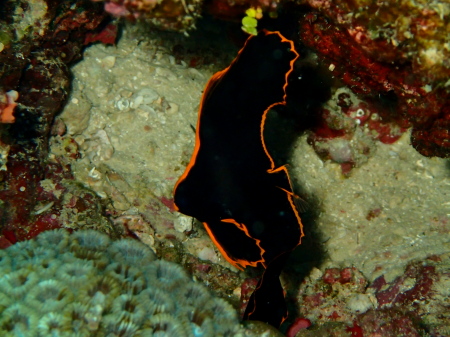 b0100730_2049548.jpg
