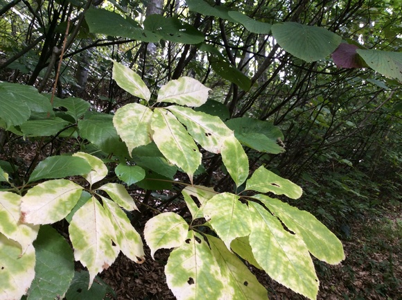 f0118332_18153510.jpg