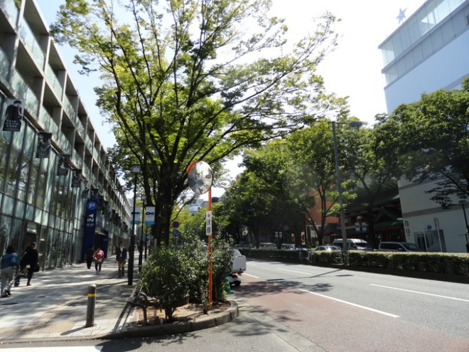 f0238932_1611320.jpg