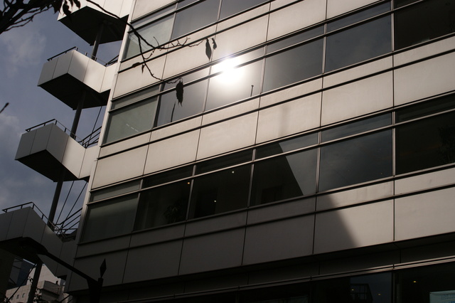 a0318033_16471880.jpg
