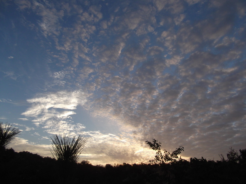 b0057140_00958.jpg