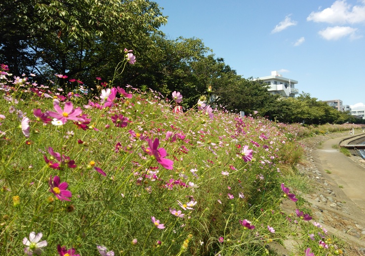 b0242140_17161344.jpg