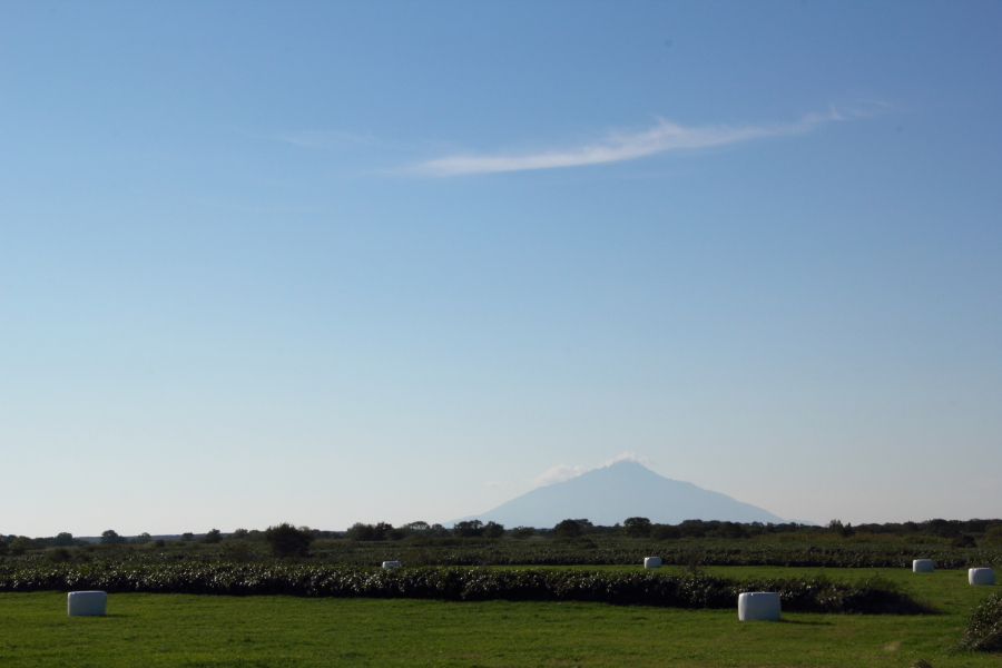 d0236741_19280708.jpg