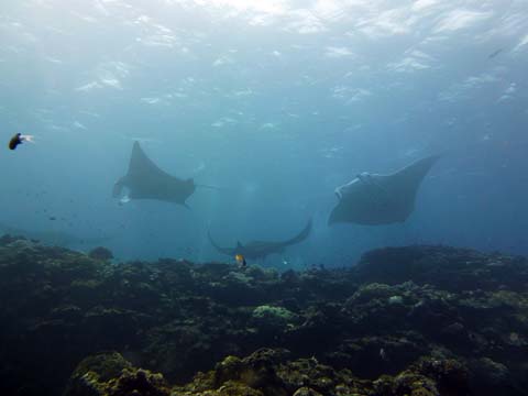 f0014842_1710499.jpg
