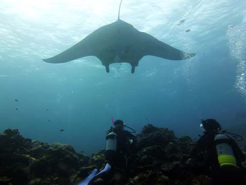 f0014842_17115616.jpg