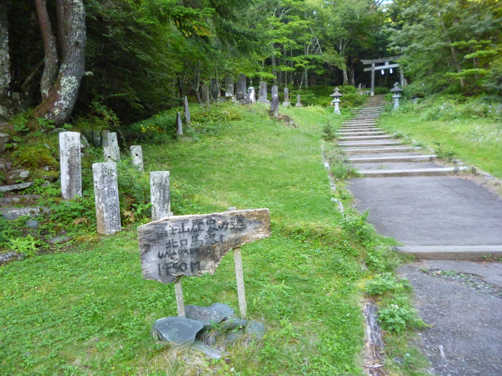 d0132743_1591992.jpg