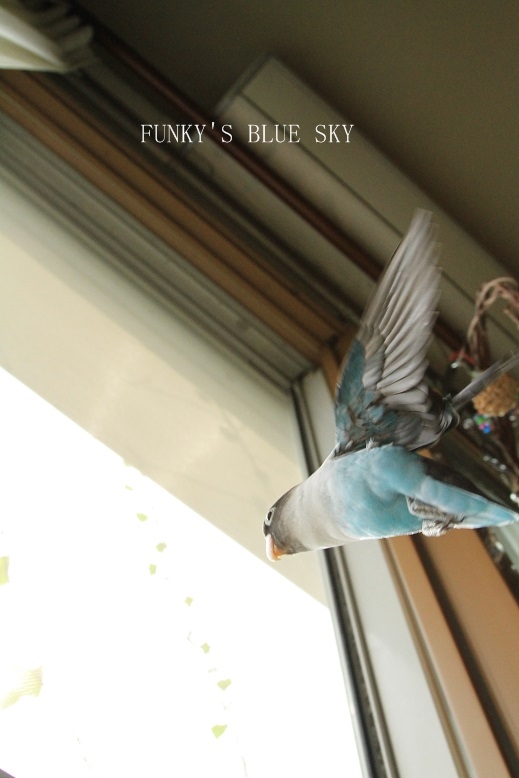 c0145250_151621.jpg