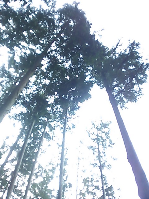 c0073152_23251269.jpg