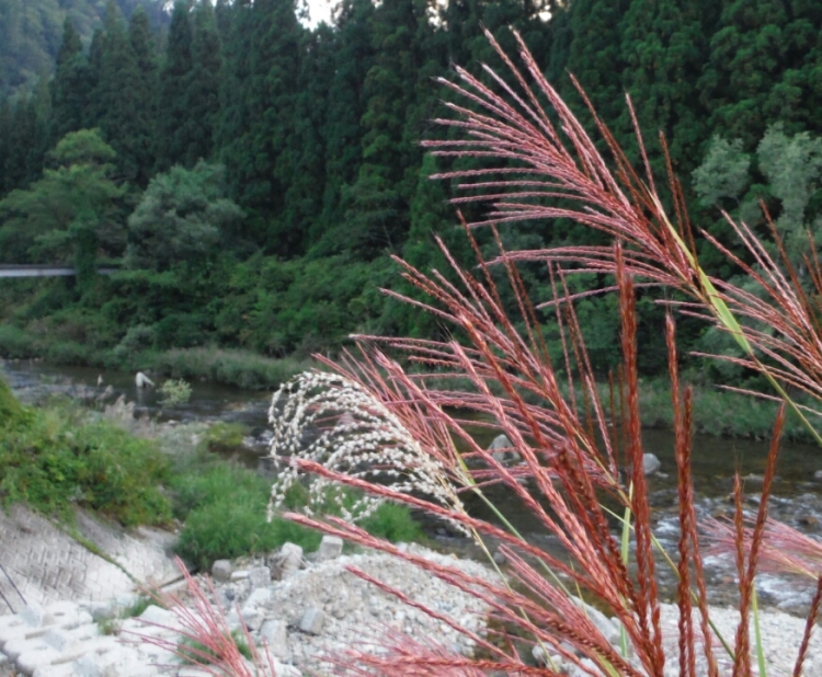b0304662_17325134.jpg