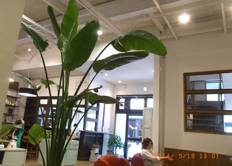 b0075364_1961893.jpg