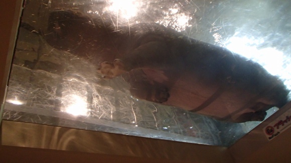 b0050067_222763.jpg