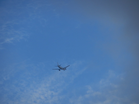 e0292172_2046946.jpg