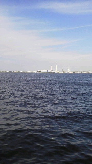 a0159974_7433395.jpg