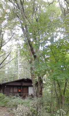 f0140174_20344172.jpg