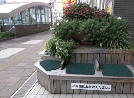 e0130185_2044723.jpg
