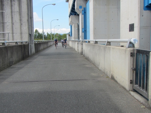 a0251786_1732670.jpg