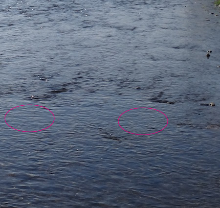 c0146788_13453914.jpg