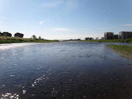 c0146788_903096.jpg