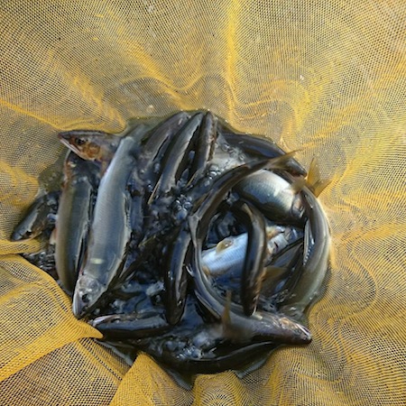 c0146788_90358.jpg