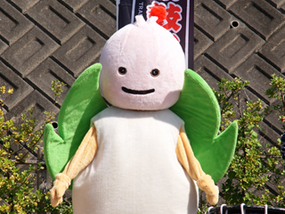 e0271890_1012238.png