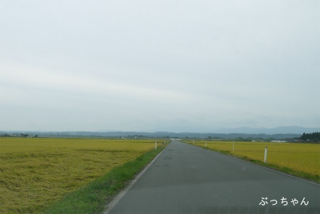 f0353990_11071024.jpg