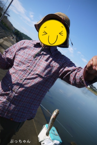 f0353990_13084187.jpg