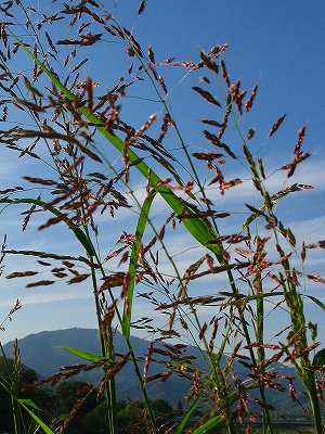 f0181394_16572085.jpg