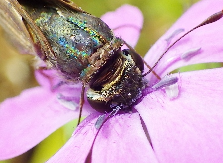 a0125598_21440168.jpg