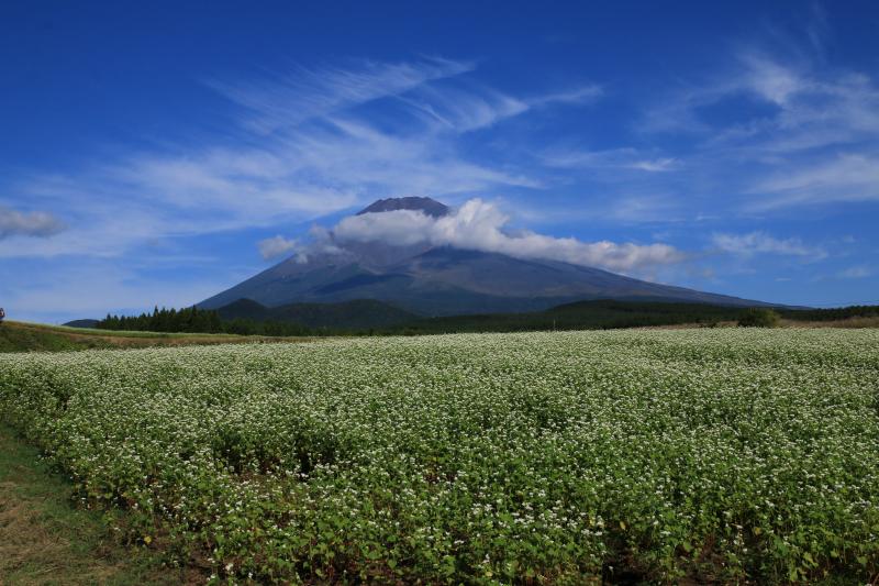 a0188405_09352885.jpg