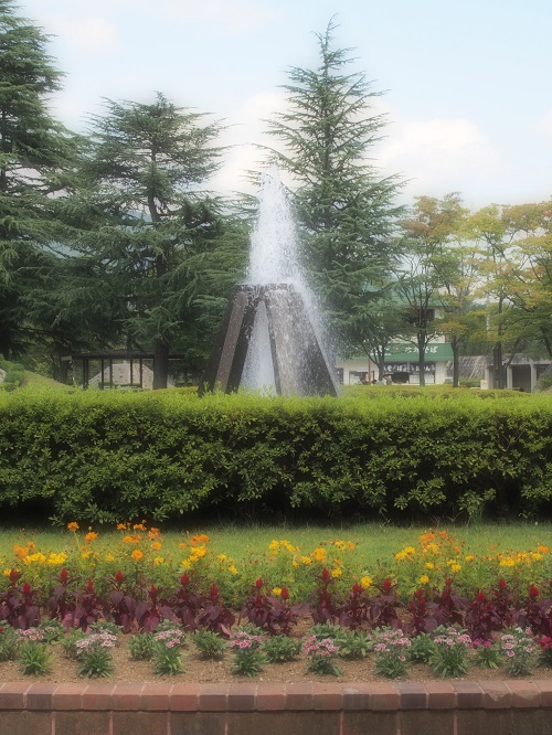 d0001008_13351557.jpg