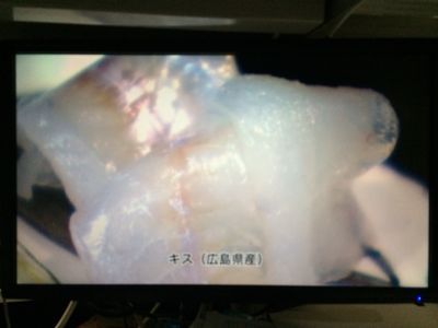e0177509_23553181.jpg