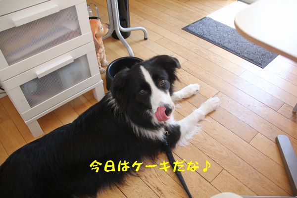 d0224111_11415955.jpg