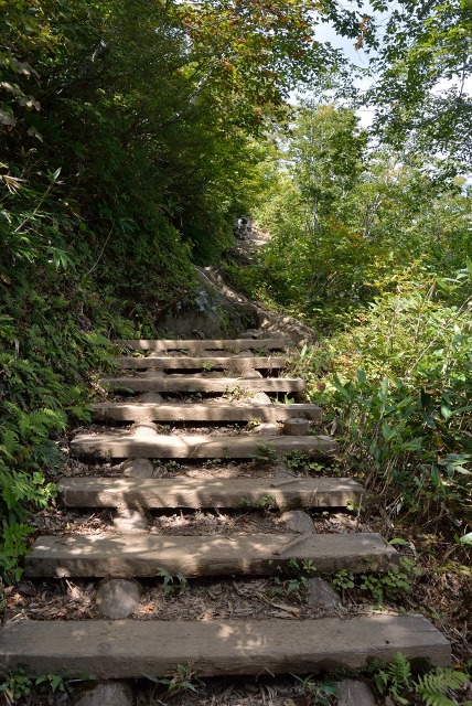e0005714_13203940.jpg