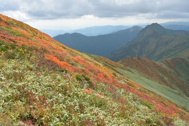 e0005714_13392047.jpg